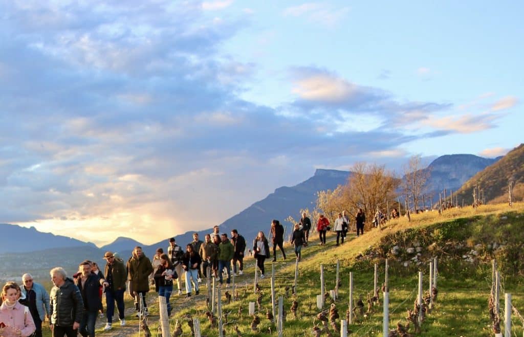 Groupe de personnes dans un vigiobles