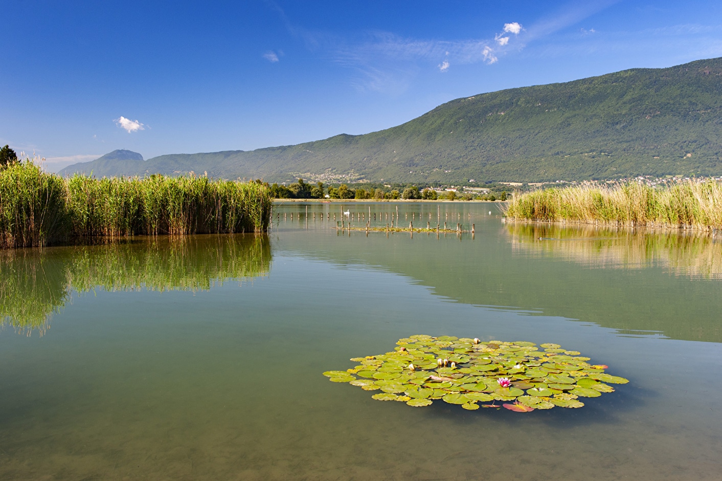 vue sur le bord ue lac du bourget en mars